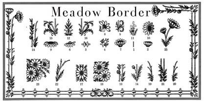 Thistle Borders Font Poster 2