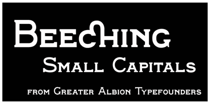 Beeching Font Poster 2