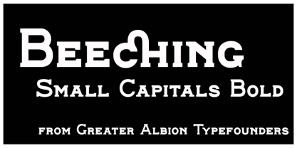 Beeching Font Poster 4