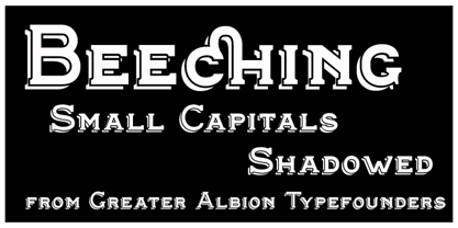Beeching Font Poster 6