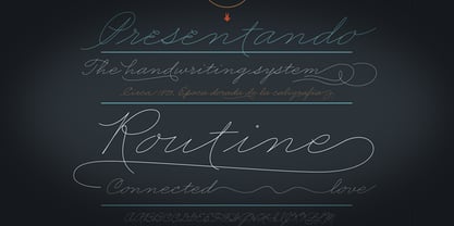 Business Penmanship Font Poster 12