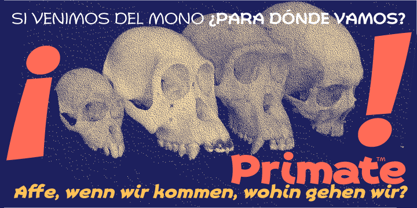 Primate Font Poster 30