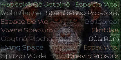 Primate Font Poster 26