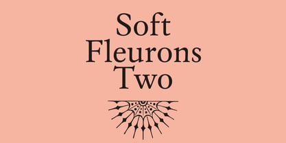 Soft Fleurons Font Poster 7