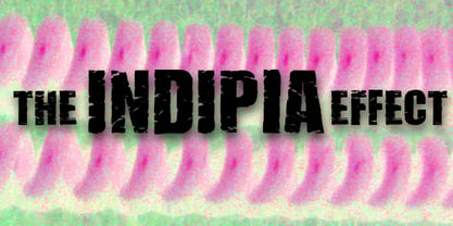 Indipia Font Poster 2
