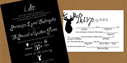 Wed Dings Font Poster 1