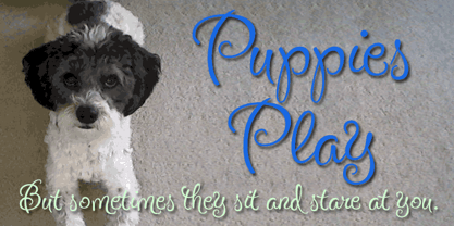 Puppies Play Font Poster 2