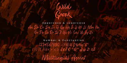 Wild Grook Font Poster 6