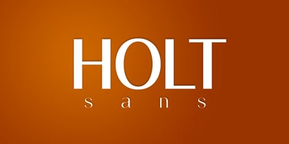 Holt Sans Font Poster 1