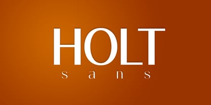 Holt Sans Police Poster 1