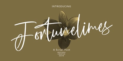 Fortunelimes Font Poster 1