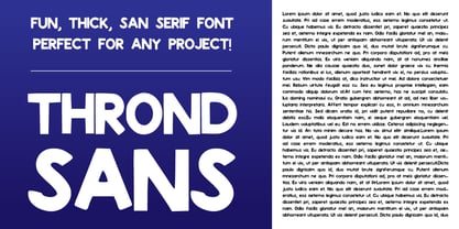 Thrond SANS Font Poster 1