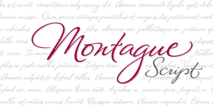Montague Script Font Poster 1