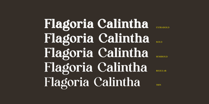 Flagoria Calintha Font Poster 4