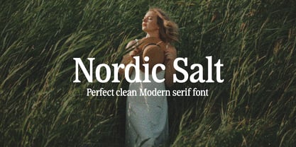 Nordic Salt Font Poster 1
