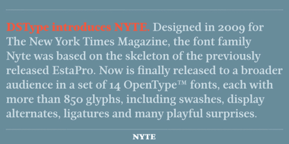 Nyte Font Poster 3