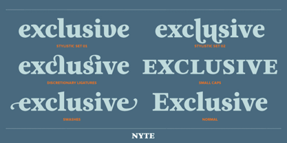 Nyte Font Poster 2