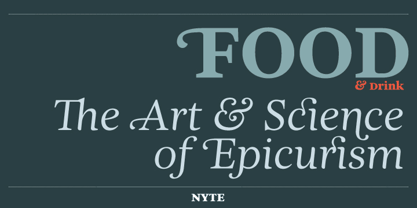 Nyte Font Poster 4