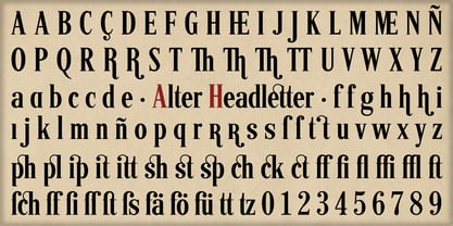 Alter Headletter Font Poster 3