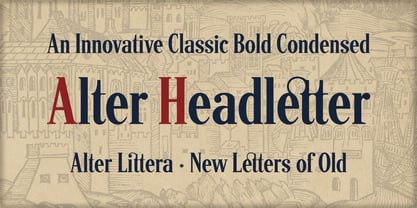 Alter Headletter Font Poster 5