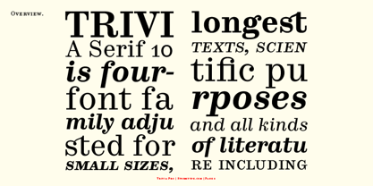 Trivia Serif 10 Font Poster 2