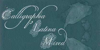 Calligraphia Latina Mixed Font Poster 1