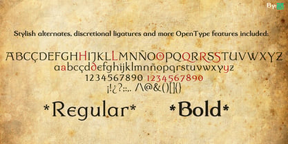 Dulcinea Serif Font Poster 3