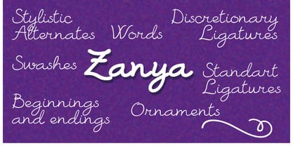Zanya Font Poster 4