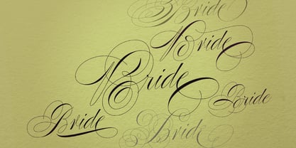 Poem Script Pro Font Poster 51