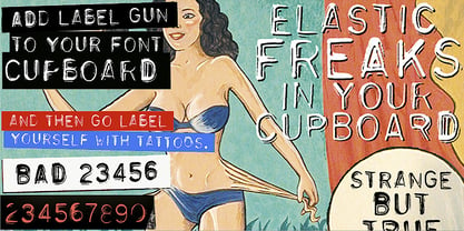 Label Gun Font Poster 3