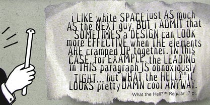 What The Hell Font Poster 2