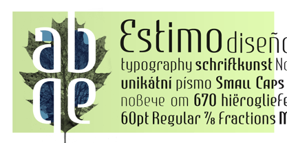 Estimo Font Poster 3