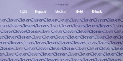 Clever Font Poster 3