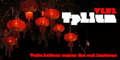 VLNL TpLlum Font Poster 6