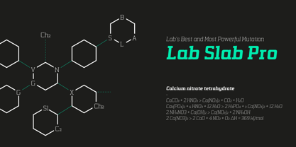 Lab Slab Pro Font Poster 3