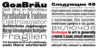 Trivia Grotesk Font Poster 7