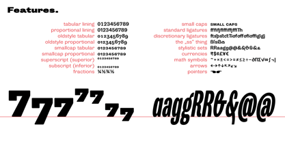 Trivia Grotesk Font Poster 8