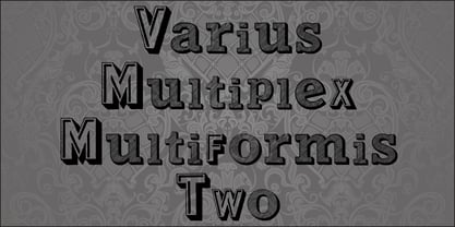 Varius Multiplex Multiformis Font Poster 1