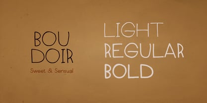 Boudoir Font Poster 5