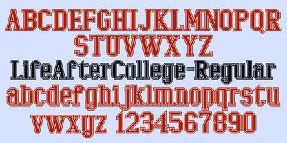 LifeAfterCollege Font Poster 3