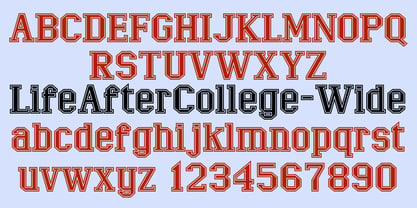 LifeAfterCollege Font Poster 4