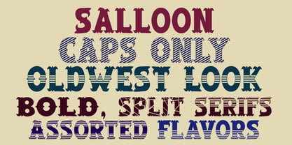 Salloon Font Poster 2