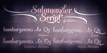 Salamander Font Poster 2