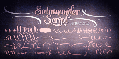 Salamander Font Poster 3