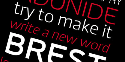 Adonide Font Poster 5