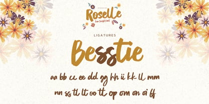 Roselle Font Poster 7