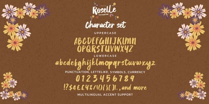 Roselle Font Poster 6