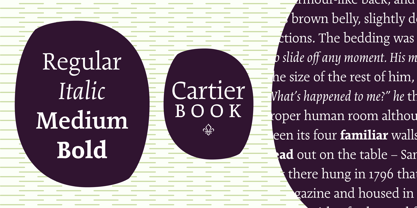 Cartier Book Font Poster 1