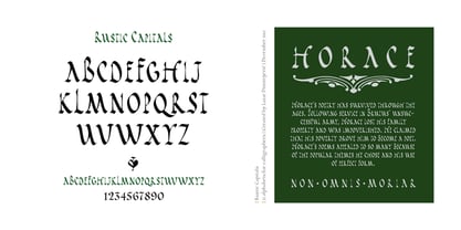 Cal Rustic Capitals Font Poster 3