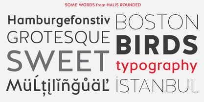 Halis Rounded Font Poster 3